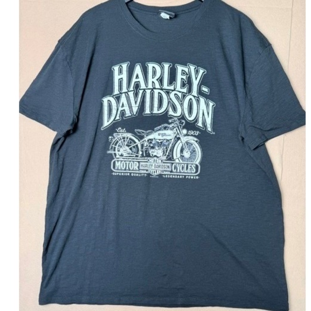 Harley Davidson Mt Rainier Seattle Washington Men's 2XL Motorcycle T Shirt